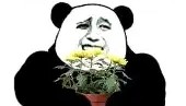 爱游戏官网-离谱！内马尔连续十五场比赛得分超过败北赛前浙江队调整名单以备欧联，大坂直美新星爆冷表现惊艳的简单介绍